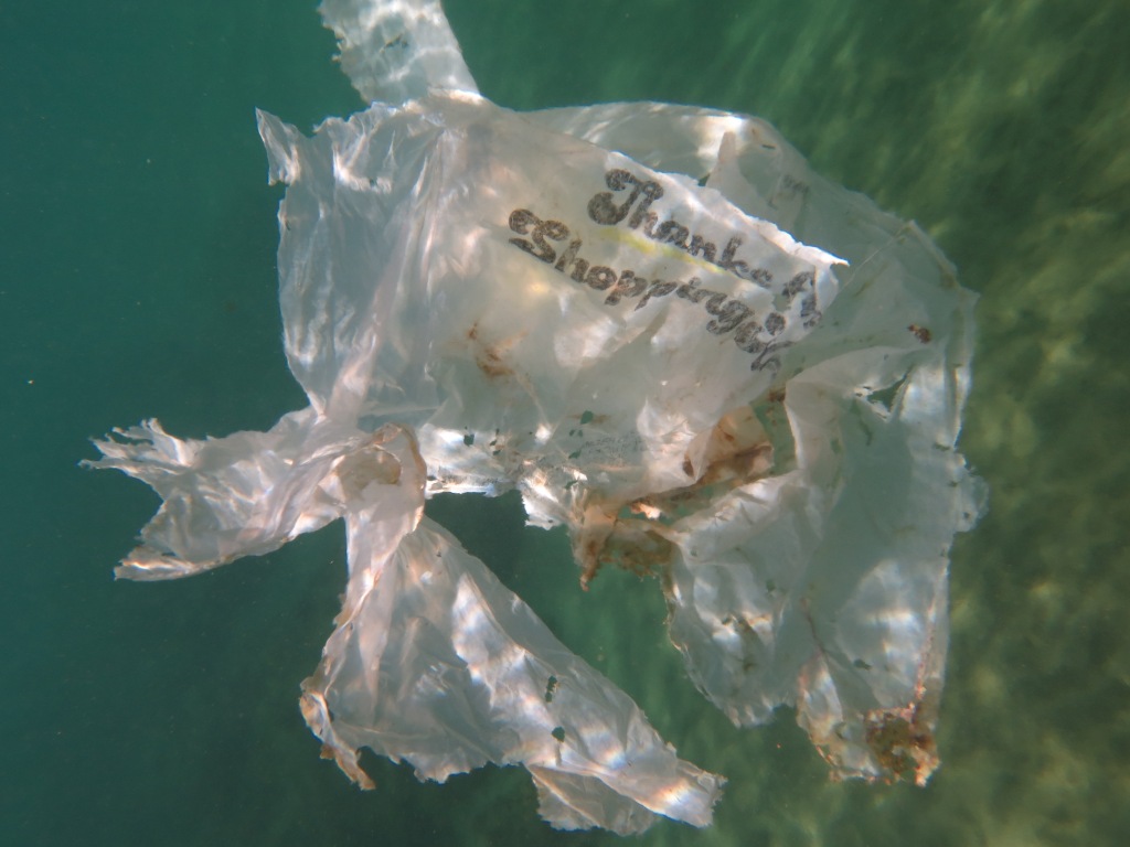 marine debris, plastic bag in ocean, single-use plastics